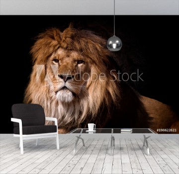 Picture of Portrait of a lion looking